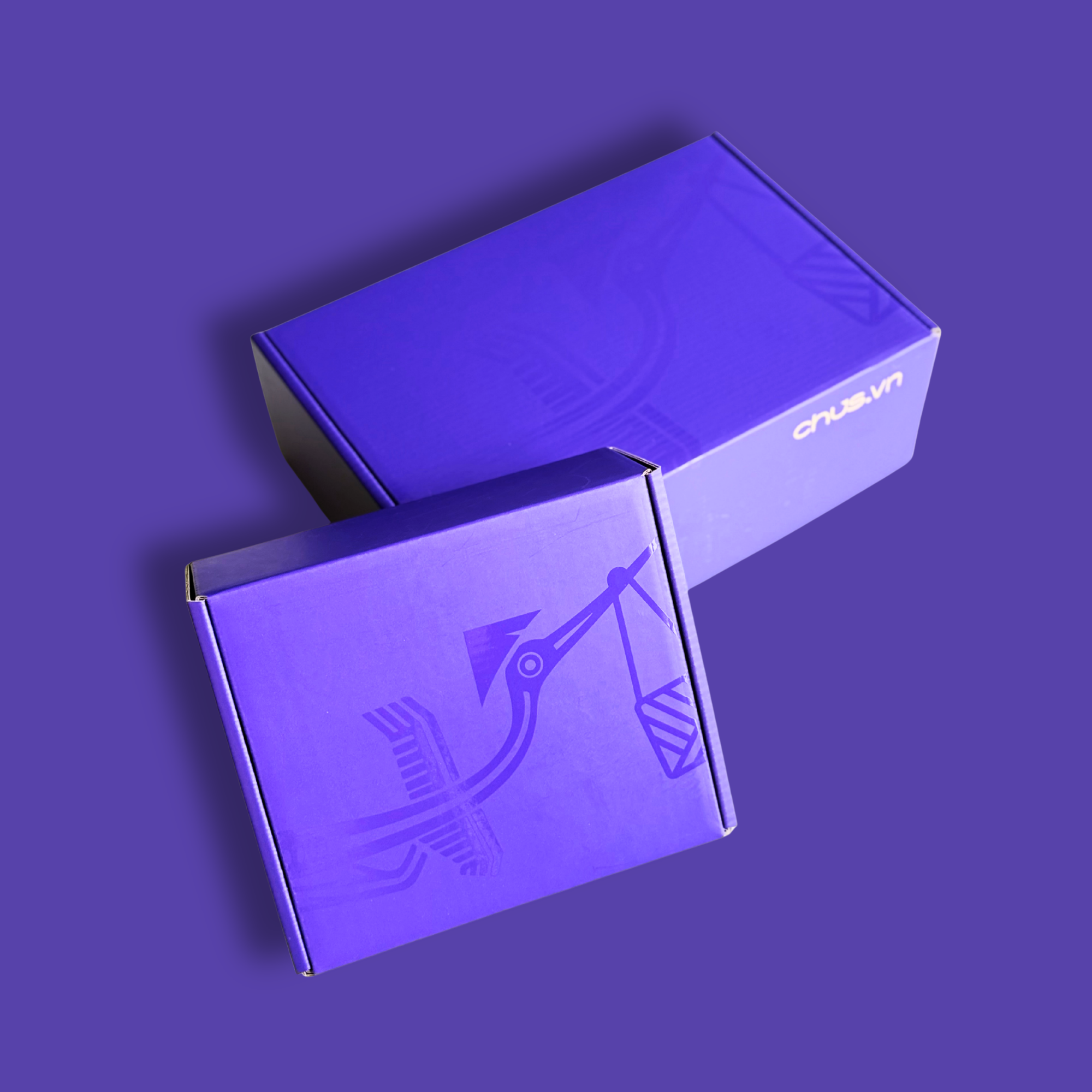 Premium custom mailer box with spot UV artwork and full-color printing for e-commerce, subscription, and retail packaging