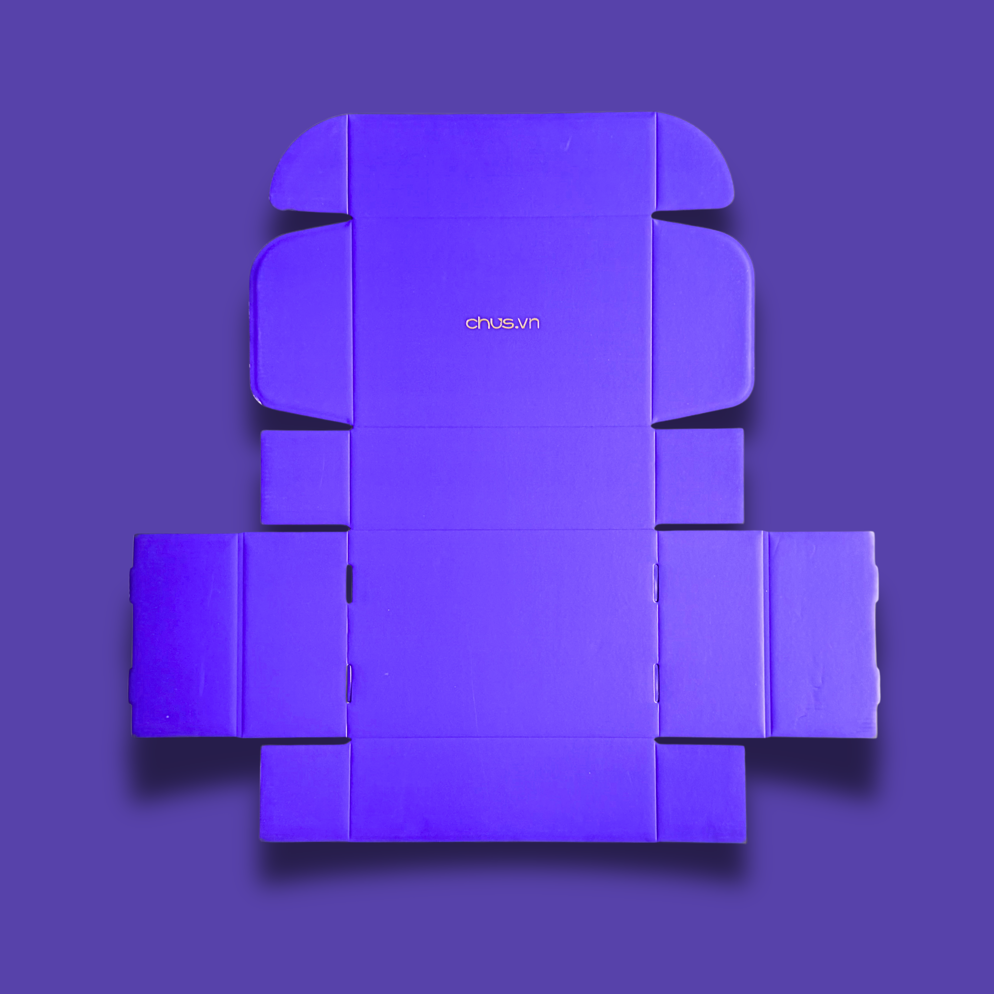 Premium custom mailer box with spot UV artwork and full-color printing for e-commerce, subscription, and retail packaging